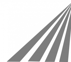 bkg